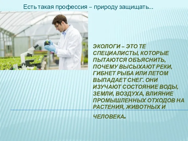 ЭКОЛОГИ – ЭТО ТЕ СПЕЦИАЛИСТЫ, КОТОРЫЕ ПЫТАЮТСЯ ОБЪЯСНИТЬ, ПОЧЕМУ ВЫСЫХАЮТ