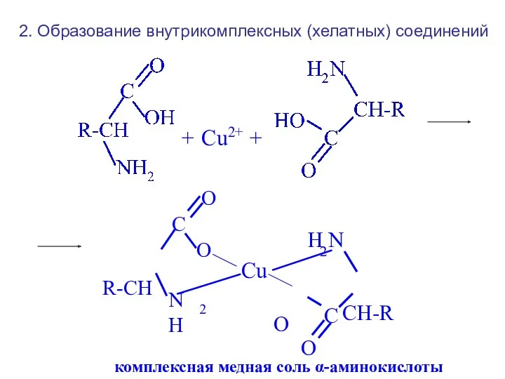 + Cu2+ + комплексная медная соль α-аминокислоты 2. Образование внутрикомплексных (хелатных) соединений