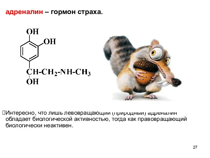 адреналин – гормон страха. Интересно, что лишь левовращающий (природный) адреналин