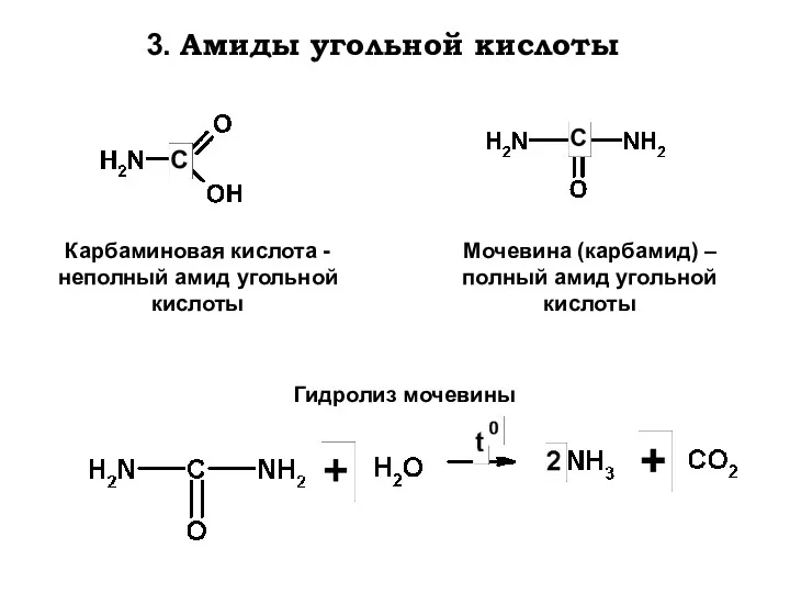 3. Амиды угольной кислоты Карбаминовая кислота - неполный амид угольной