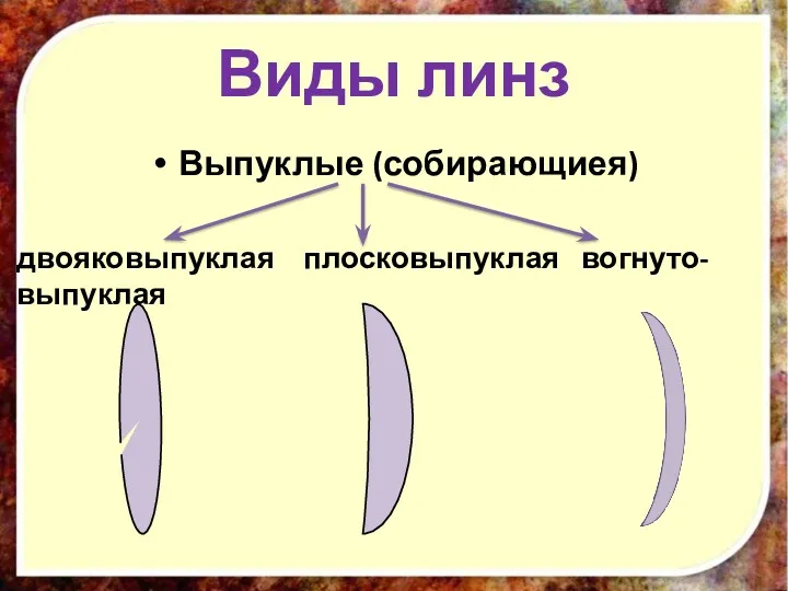 Виды линз Выпуклые (собирающиея) двояковыпуклая плосковыпуклая вогнуто-выпуклая