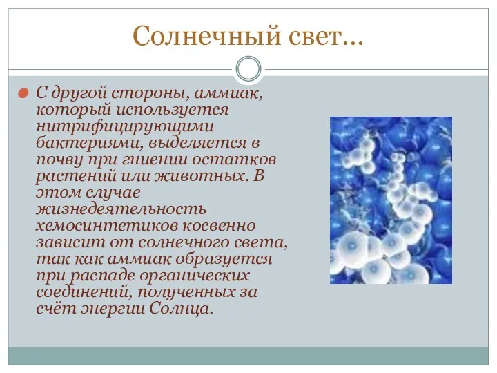 Солнечный свет… С другой стороны, аммиак, который используется нитрифицирующими бактериями,