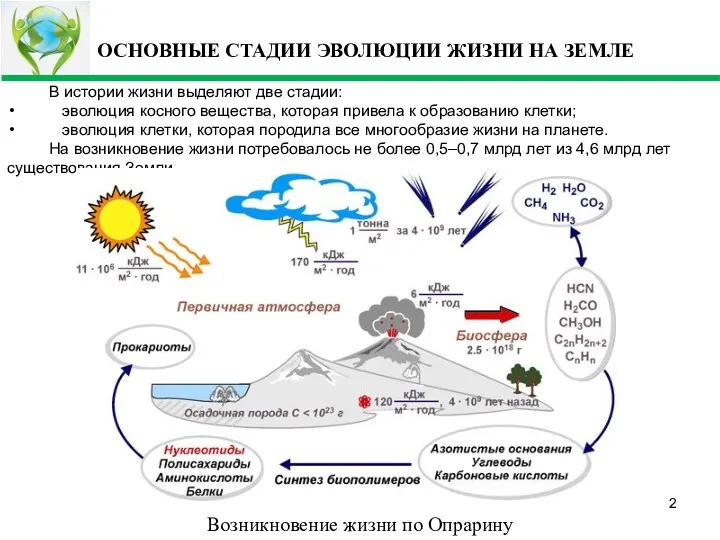 ОСНОВНЫЕ СТАДИИ ЭВОЛЮЦИИ ЖИЗНИ НА ЗЕМЛЕ В истории жизни выделяют