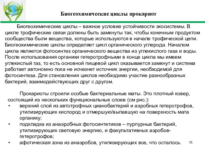 Биогеохимические циклы прокариот Биогеохимические циклы – важное условие устойчивости экосистемы.