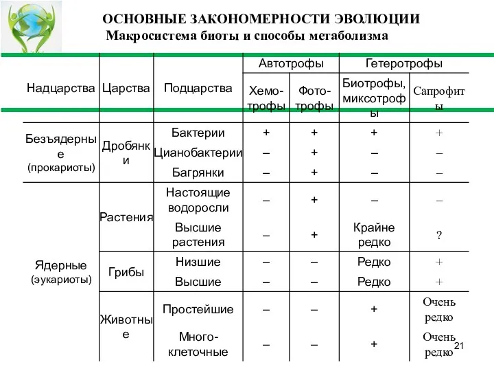 ОСНОВНЫЕ ЗАКОНОМЕРНОСТИ ЭВОЛЮЦИИ Макросистема биоты и способы метаболизма