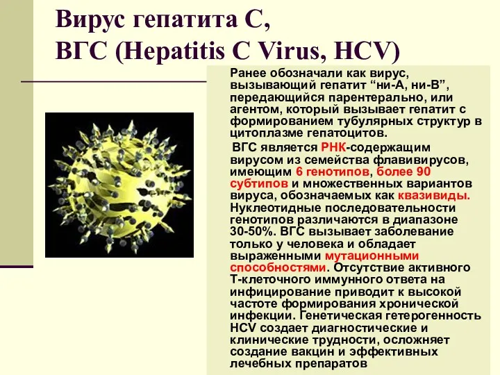 Вирус гепатита С, ВГС (Hepatitis С Virus, HCV) Ранее обозначали