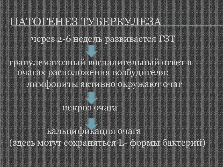 ПАТОГЕНЕЗ ТУБЕРКУЛЕЗА через 2-6 недель развивается ГЗТ гранулематозный воспалительный ответ