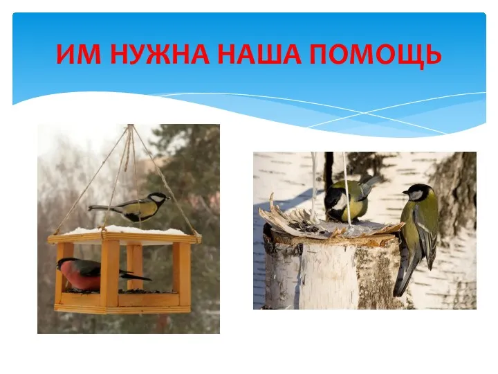 ИМ НУЖНА НАША ПОМОЩЬ