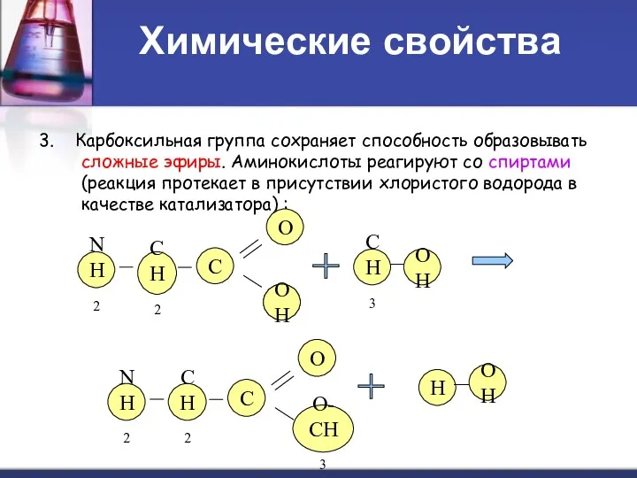 Химические свойства 3. Карбоксильная группа сохраняет способность образовывать сложные эфиры. Аминокислоты реагируют со