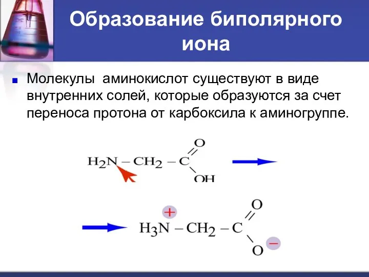Образование биполярного иона Молекулы аминокислот существуют в виде внутренних солей, которые образуются за