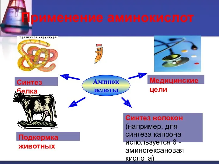 Применение аминокислот Аминокислоты Синтез белка Медицинские цели Подкормка животных Синтез волокон (например, для