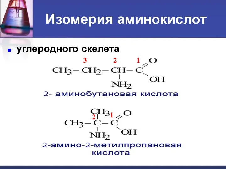 Изомерия аминокислот углеродного скелета 1 2 3 1 2