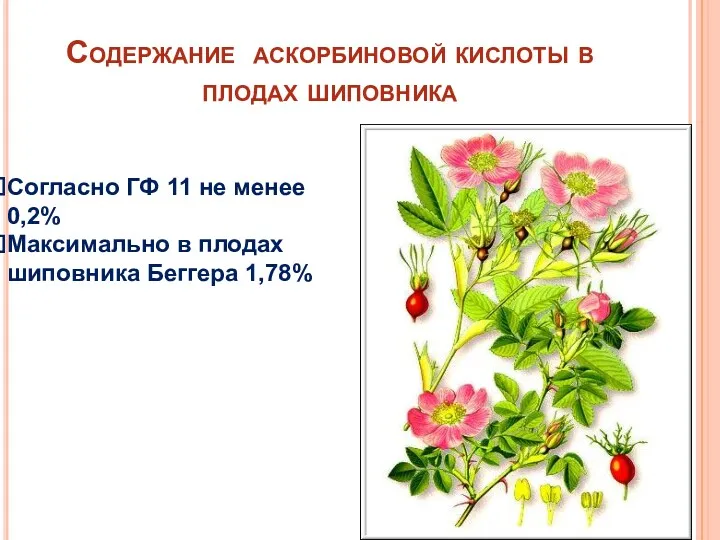 Содержание аскорбиновой кислоты в плодах шиповника Согласно ГФ 11 не