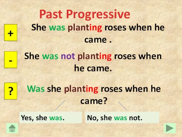 Past Progressive She was planting roses when he came .