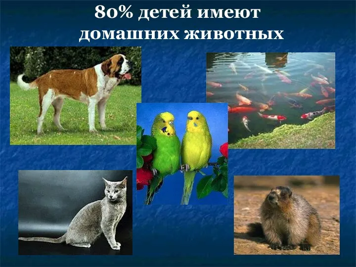 80% детей имеют домашних животных