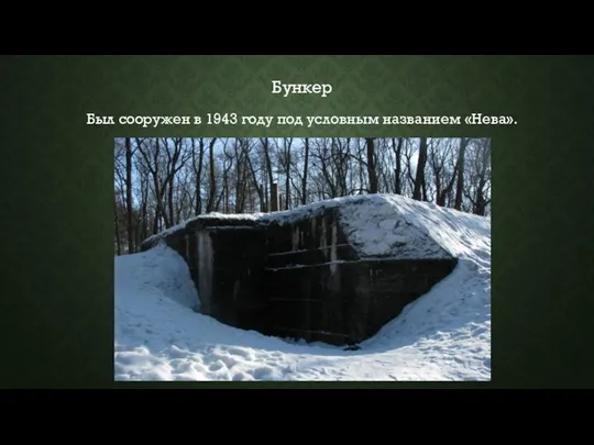 Бункер Был сооружен в 1943 году под условным названием «Нева».