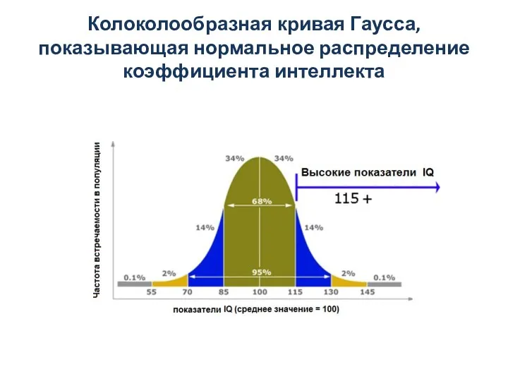 Колоколообразная кривая Гаусса, показывающая нормальное распределение коэффициента интеллекта