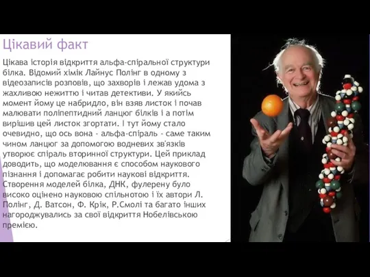 Цікавий факт Цікава історія відкриття альфа-спіральної структури білка. Відомий хімік