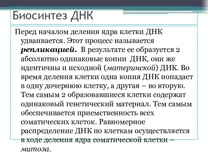 Биосинтез ДНК Перед началом деления ядра клетки ДНК удваивается. Этот