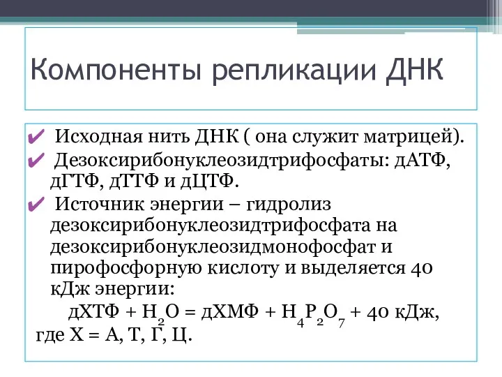 Компоненты репликации ДНК Исходная нить ДНК ( она служит матрицей).