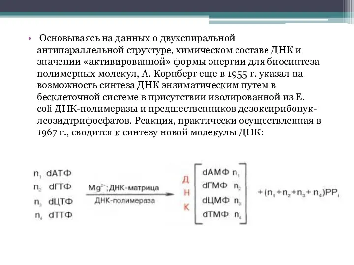 Основываясь на данных о двухспиральной антипараллельной структуре, химическом составе ДНК