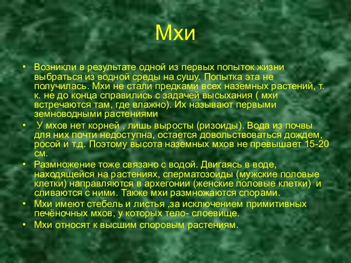 Мхи Возникли в результате одной из первых попыток жизни выбраться