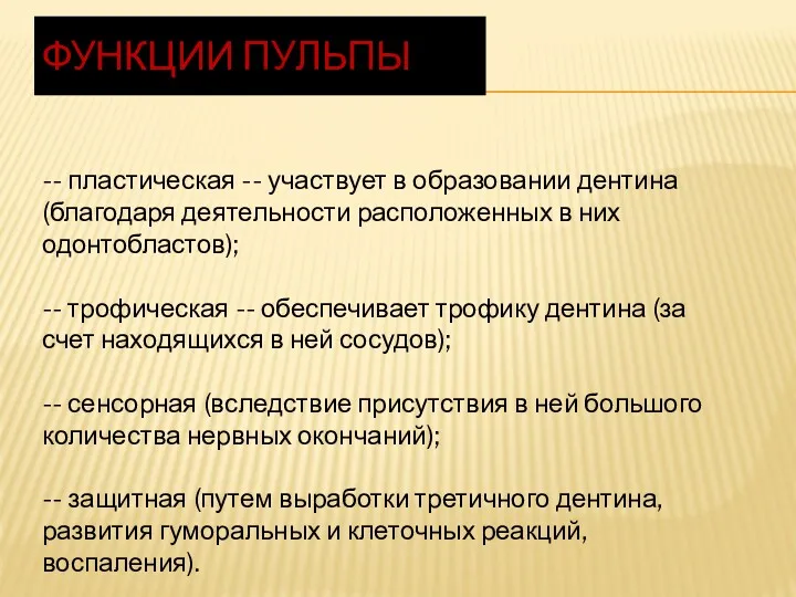 ФУНКЦИИ ПУЛЬПЫ -- пластическая -- участвует в образовании дентина (благодаря деятельности расположенных в