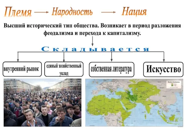 Племя Народность Нация Высший исторический тип общества. Возникает в период