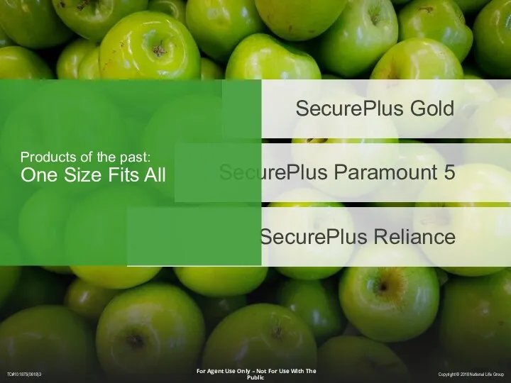 SecurePlus Gold SecurePlus Paramount 5 SecurePlus Reliance Products of the past: One Size Fits All