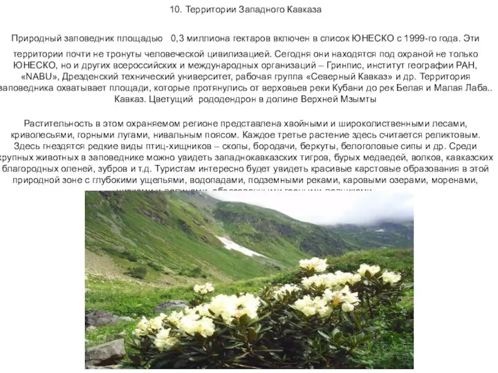 10. Территории Западного Кавказа Природный заповедник площадью 0,3 миллиона гектаров включен в список