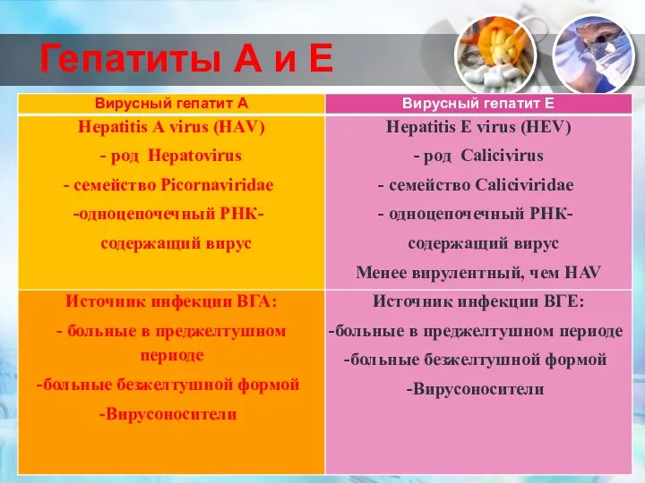 Гепатиты А и Е