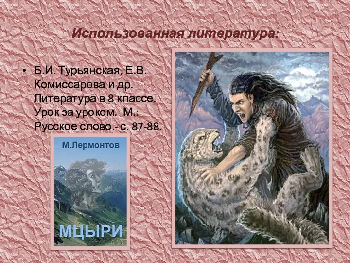 Использованная литература: Б.И. Турьянская, Е.В. Комиссарова и др. Литература в