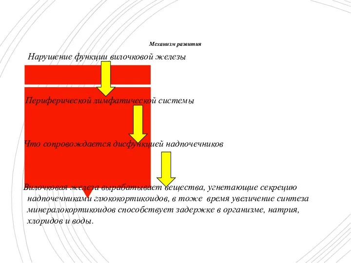 Механизм развития Нарушение функции вилочковой железы Периферической лимфатической системы Что