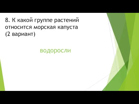 8. К какой группе растений относится морская капуста (2 вариант) водоросли