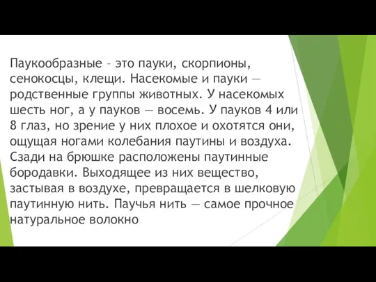 Паукообразные – это пауки, скорпионы, сенокосцы, клещи. Насекомые и пауки