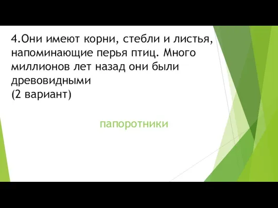 4.Они имеют корни, стебли и листья, напоминающие перья птиц. Много