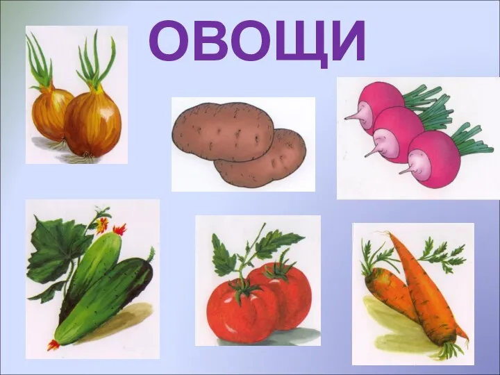 ОВОЩИ