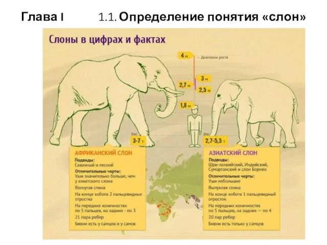 Глава I 1.1. Определение понятия «слон»