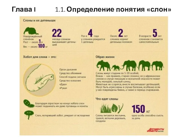 Глава I 1.1. Определение понятия «слон»