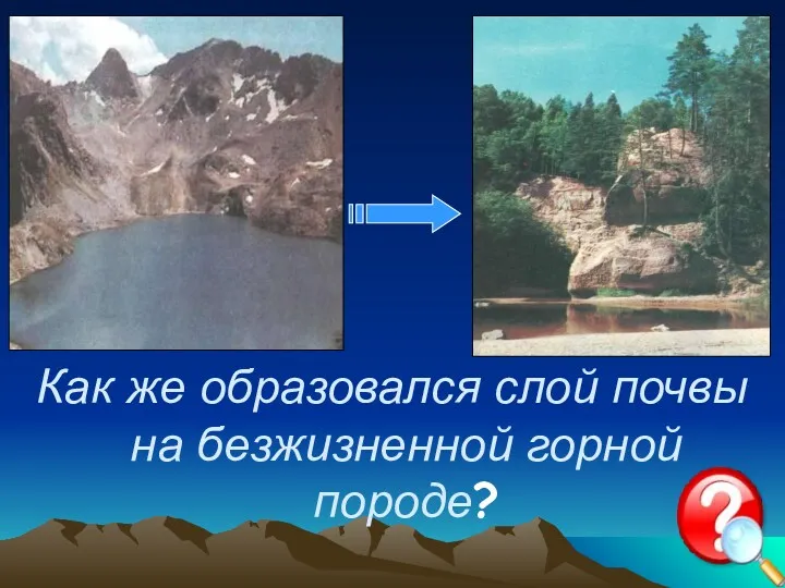 Как же образовался слой почвы на безжизненной горной породе?