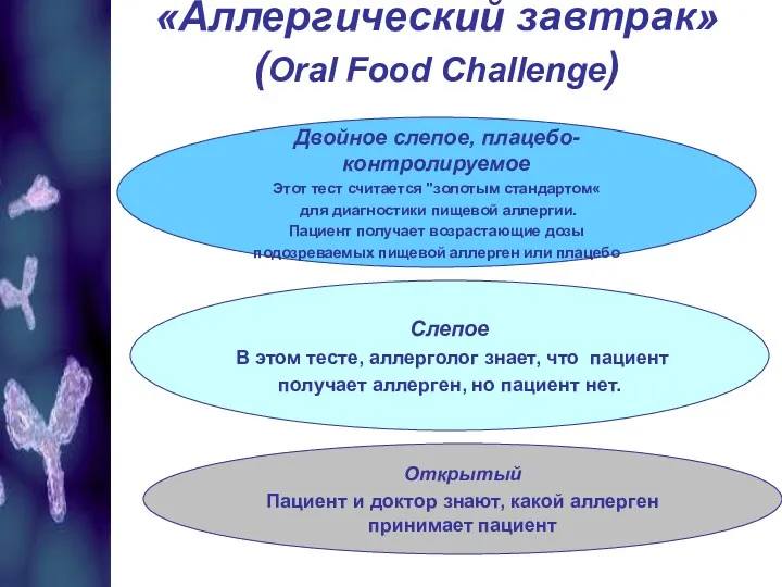 «Аллергический завтрак» (Oral Food Challenge) Двойное слепое, плацебо-контролируемое Этот тест