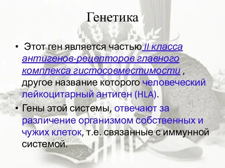 Генетика Этот ген является частью II класса антигенов-рецепторов главного комплекса