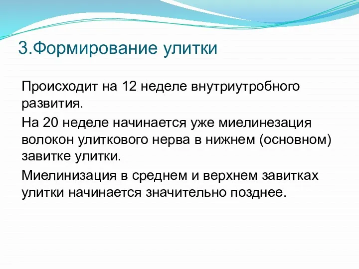 3.Формирование улитки Происходит на 12 неделе внутриутробного развития. На 20 неделе начинается уже