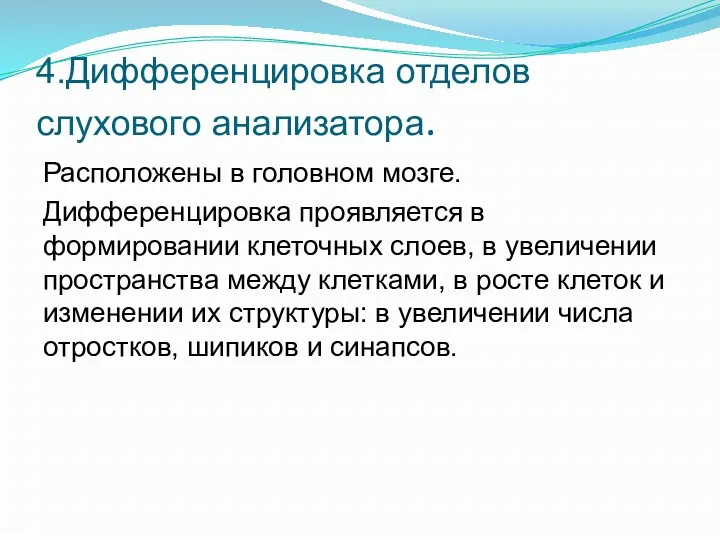 4.Дифференцировка отделов слухового анализатора. Расположены в головном мозге. Дифференцировка проявляется в формировании клеточных