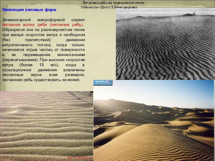 . Ветровая рябь на поверхности песка. Узбекистан (фото З.Виноградова) Эволюция