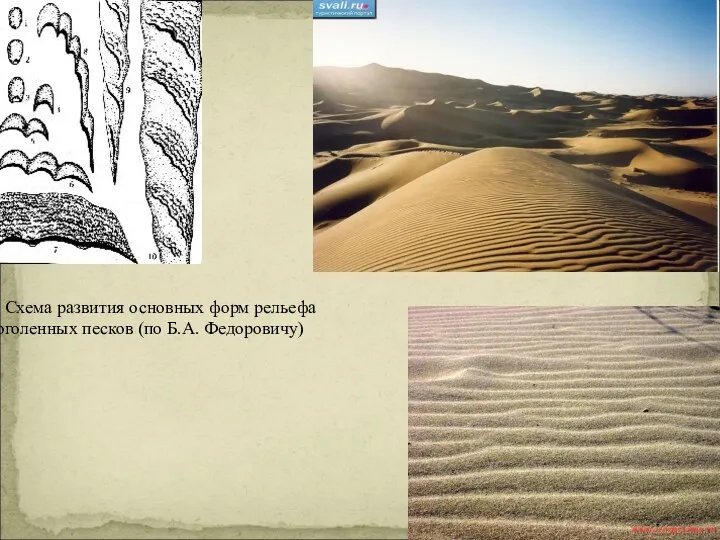 . Схема развития основных форм рельефа оголенных песков (по Б.А. Федоровичу)
