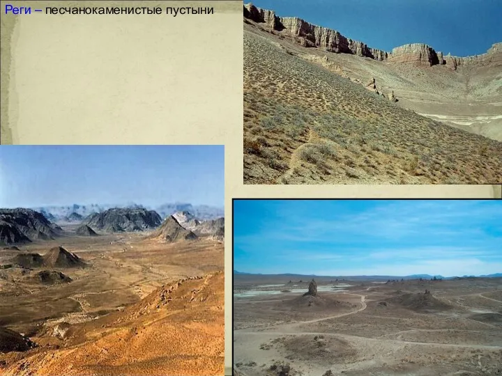 Реги – песчанокаменистые пустыни