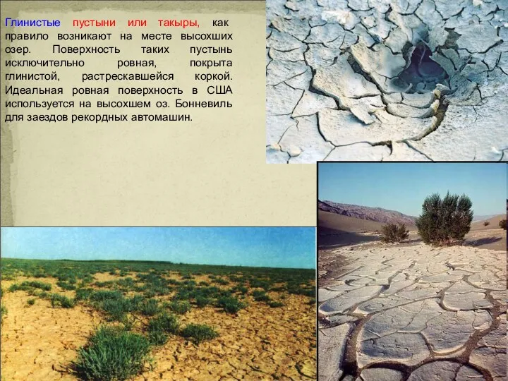 Глинистые пустыни или такыры, как правило возникают на месте высохших