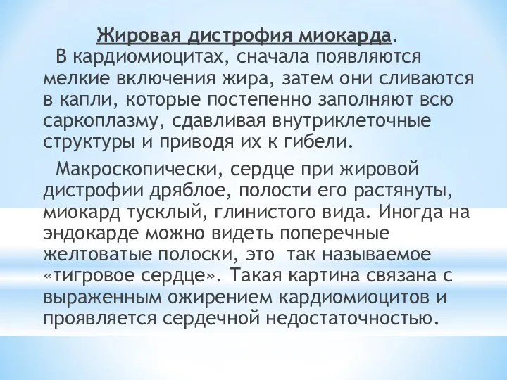 Жировая дистрофия миокарда. В кардиомиоцитах, сначала появляются мелкие включения жира,