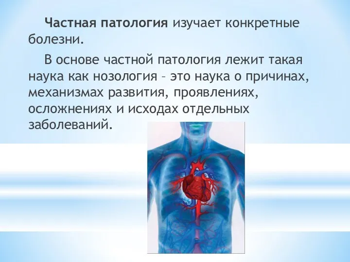 Частная патология изучает конкретные болезни. В основе частной патология лежит